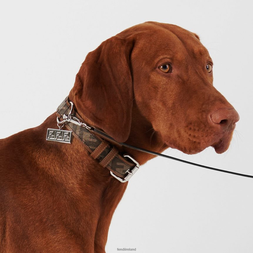 Fendi Men Fabric Collar R06TFR451 Accessories Brown