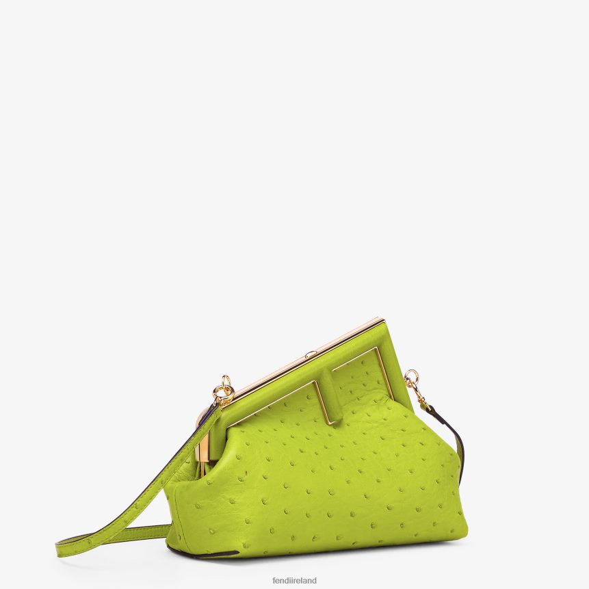 Fendi Women Acid Ostrich Leather Bag R06TFR894 Accessories Green