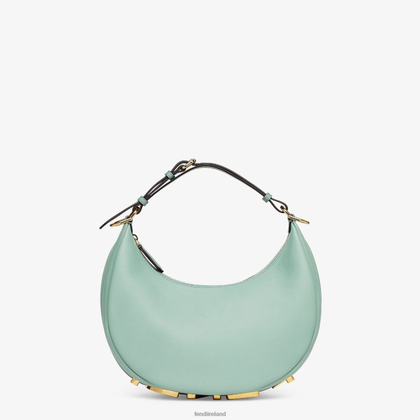 Fendi Women Mint Leather Bag R06TFR831 Accessories Green